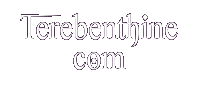 Terebenthine.com
