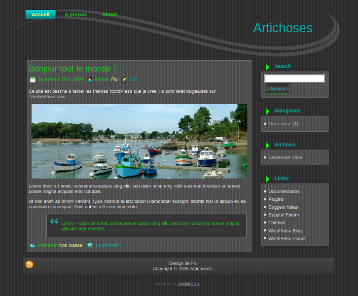 Artigris - thème WordPress