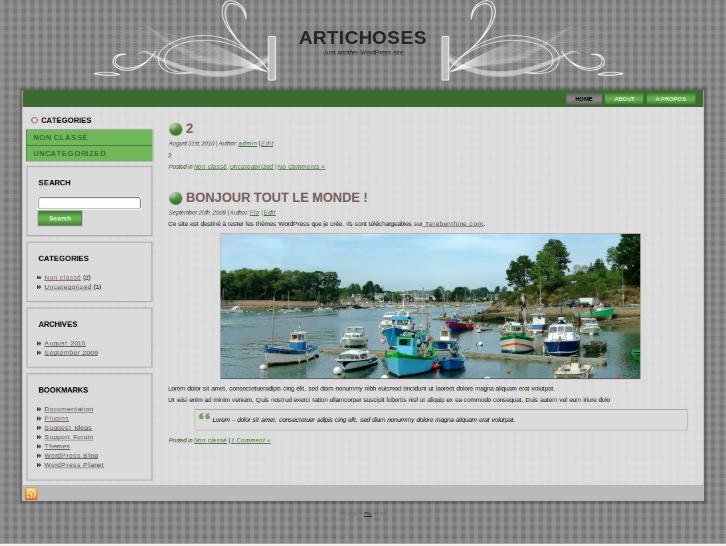 Thème WordPress gris-vert
